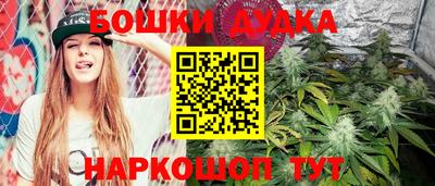 ешки Кингисепп