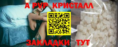 ешки Кингисепп