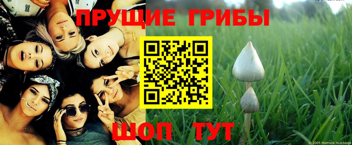 Галлюциногенные грибы Cubensis  Вход с VPN  Семилуки 