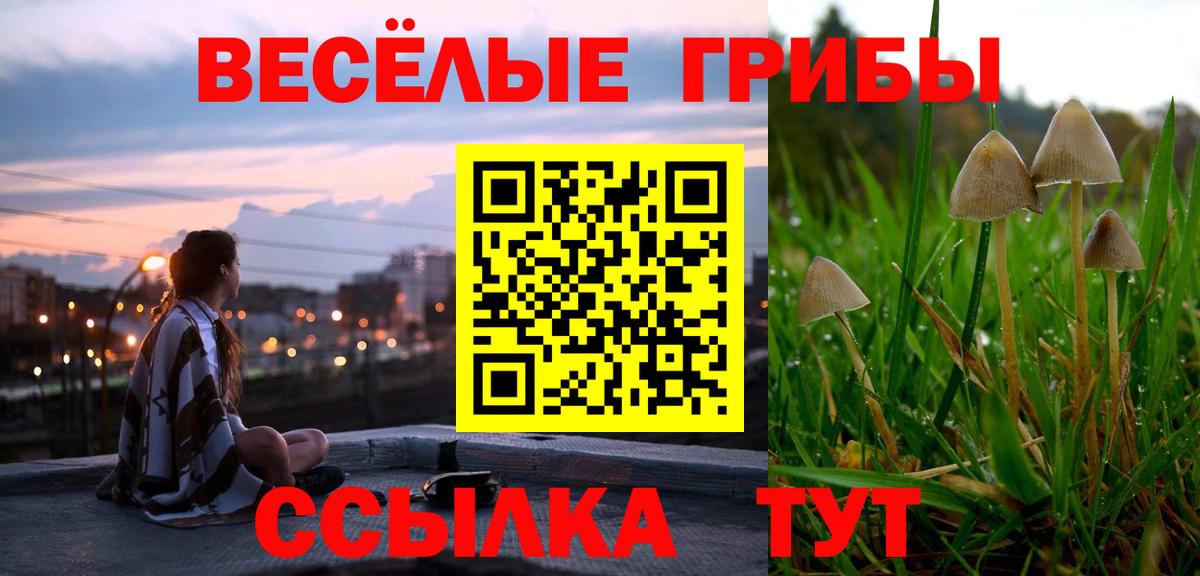 Галлюциногенные грибы Magic Shrooms Семилуки